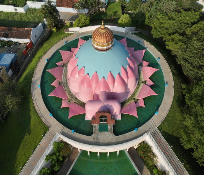 Design of the Lotus